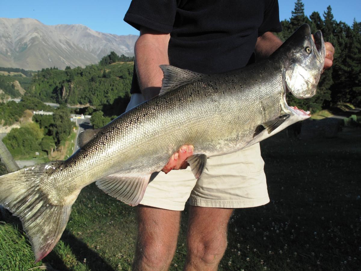 Mt Hutt Lodge Windwhistle Экстерьер фото